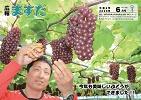 広報ますだ(令和2年6月号)の表紙の画像