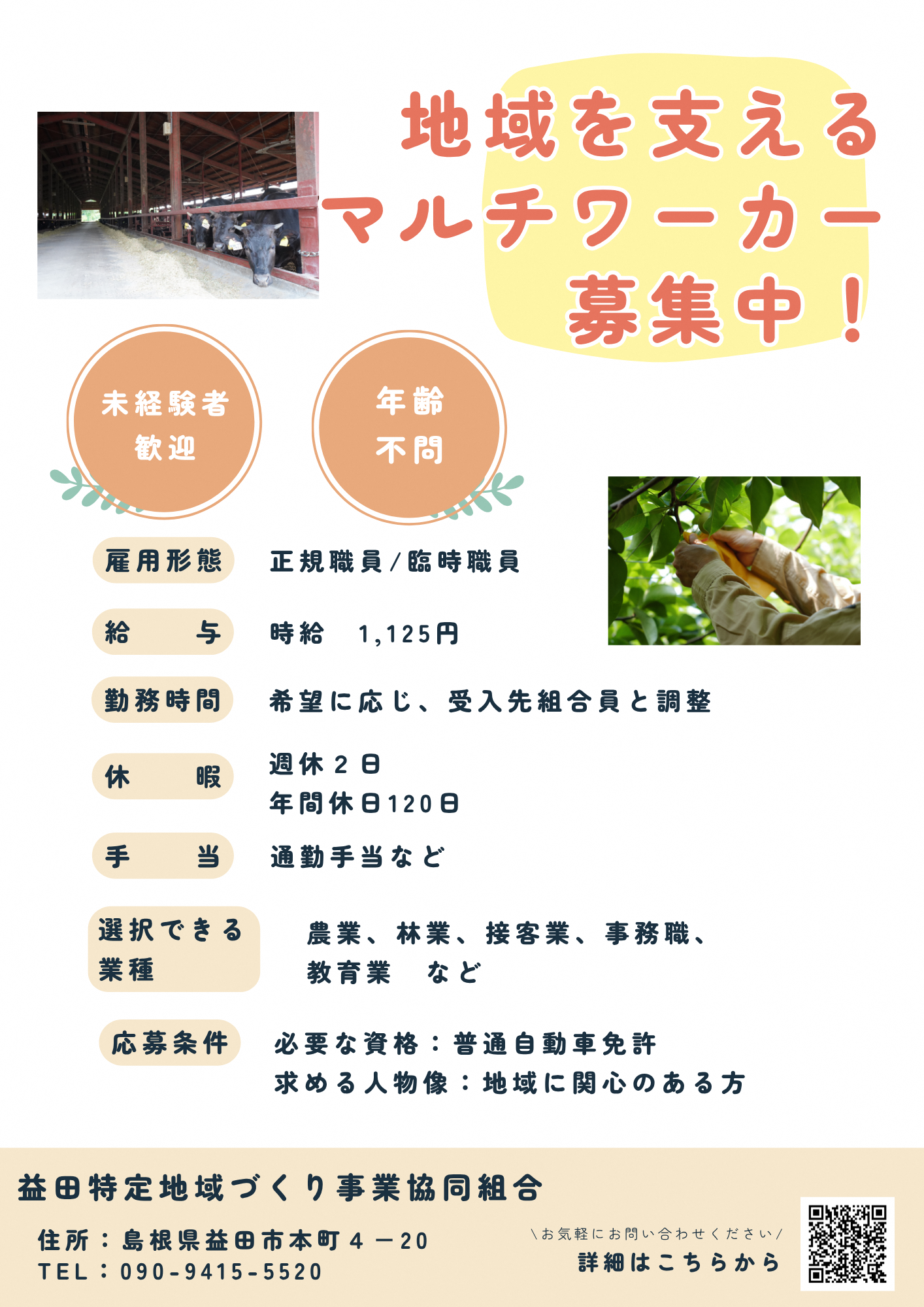 チラシ1