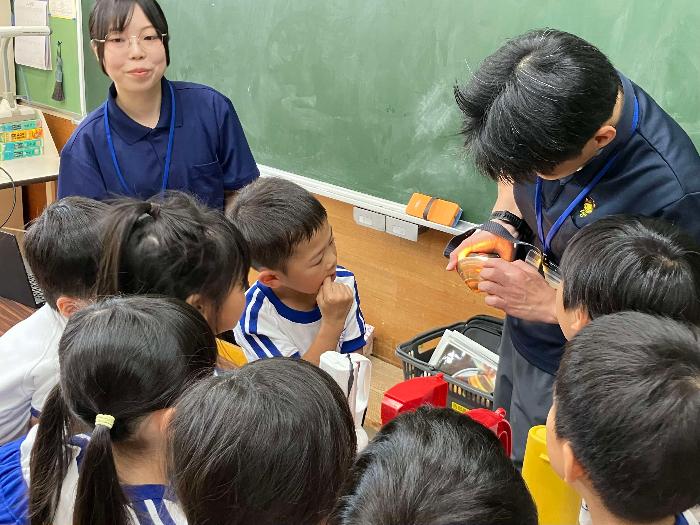 はまぐりの貝殻を観察する様子