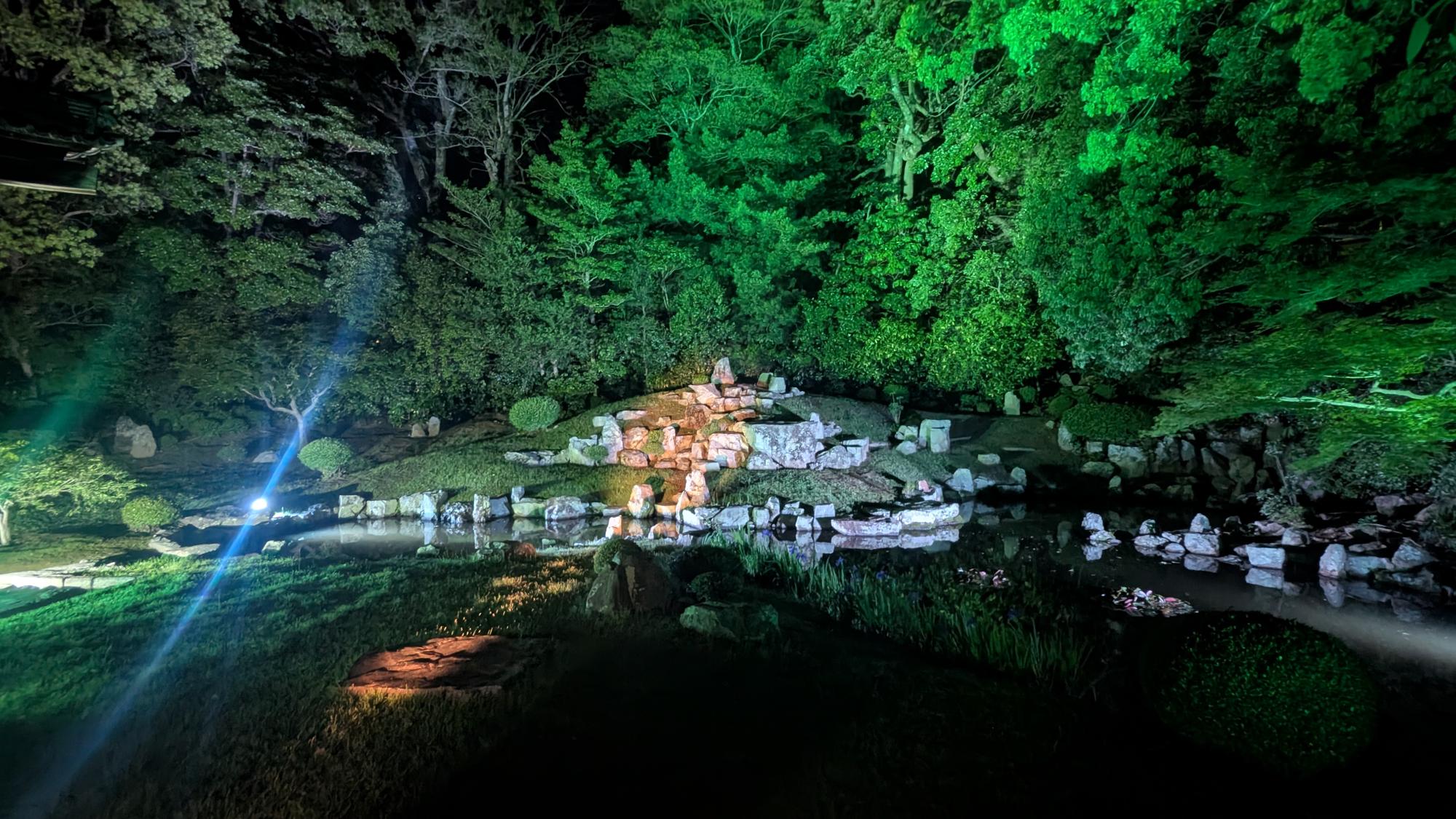 萬福寺庭園のライトアップ