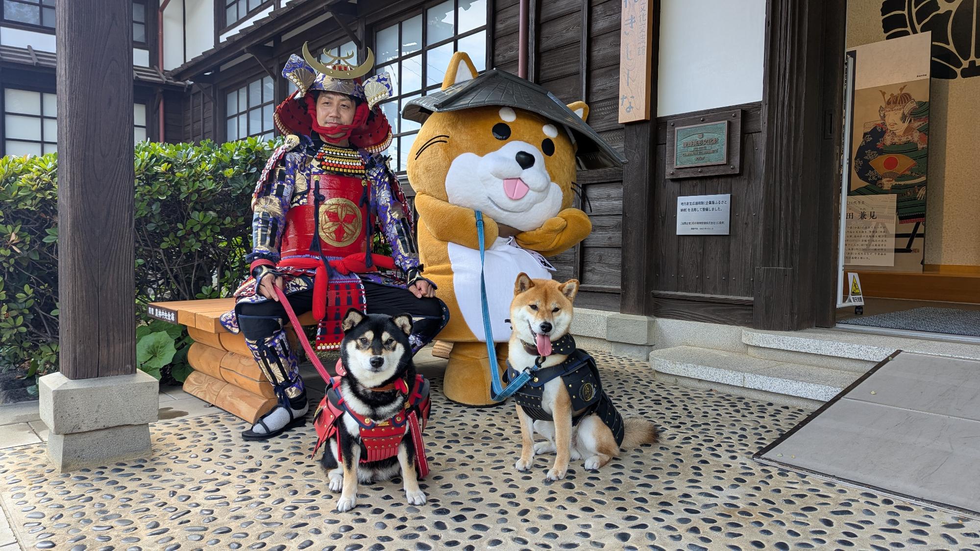 しばいっぬと柴犬のお出迎え