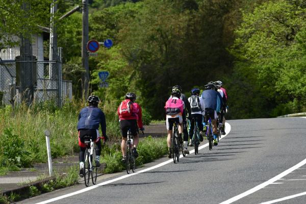 山道を自転車で登っていく参加者たち