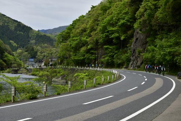 渓流沿いの道を自転車で走る参加者たち