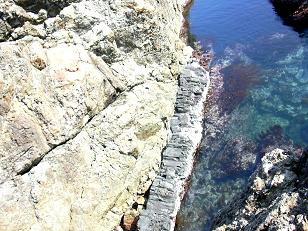 唐音の蛇岩の写真