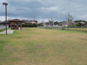 平田公園の芝生広場の写真