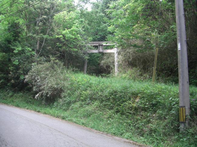 生い茂った木々の中に見える奥之院参道の鳥居