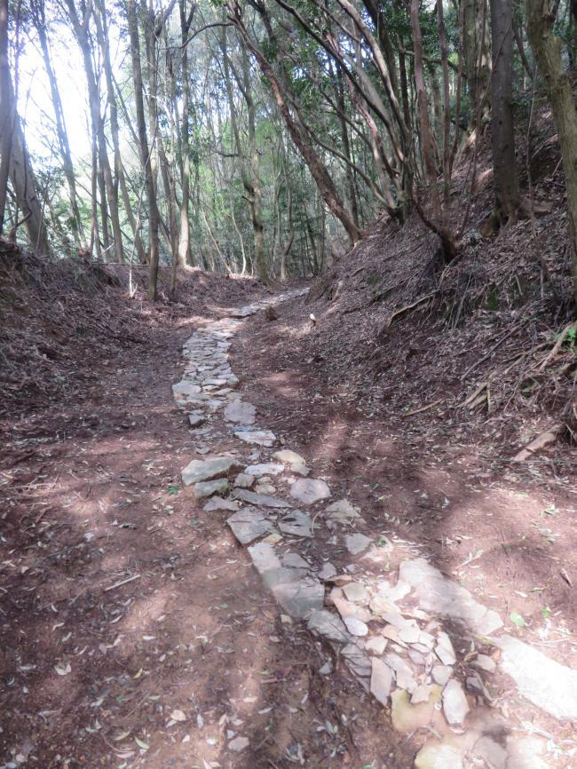 (4)石畳が山道に続く様子