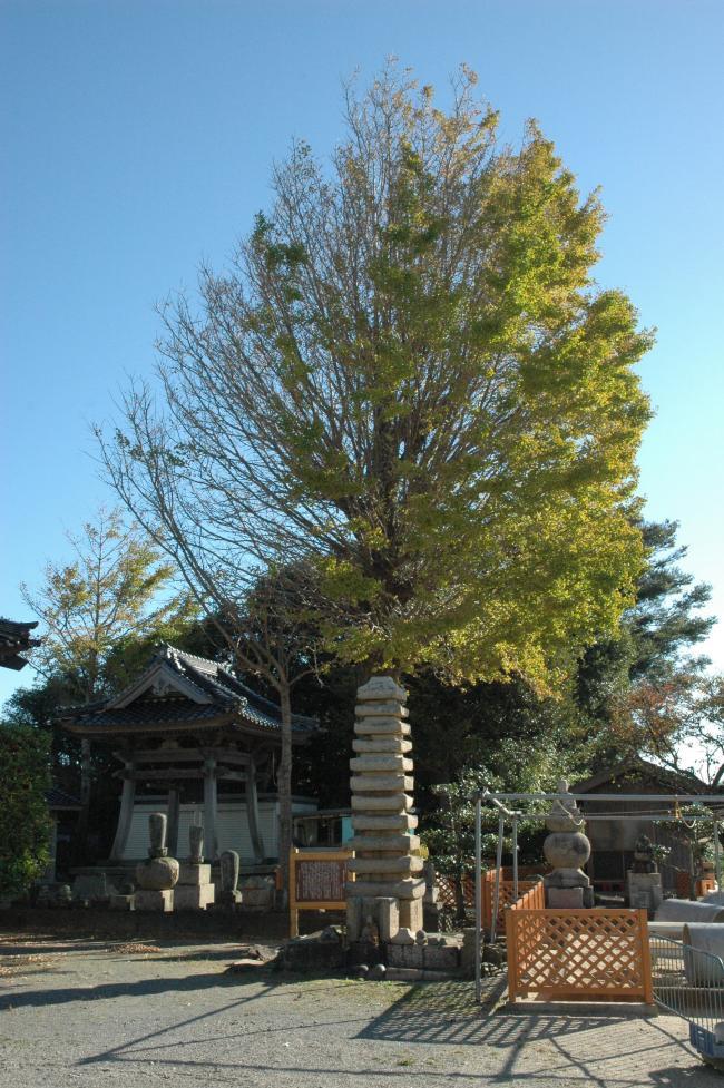 福王寺石造十三重塔と石造物群が並んでいる写真