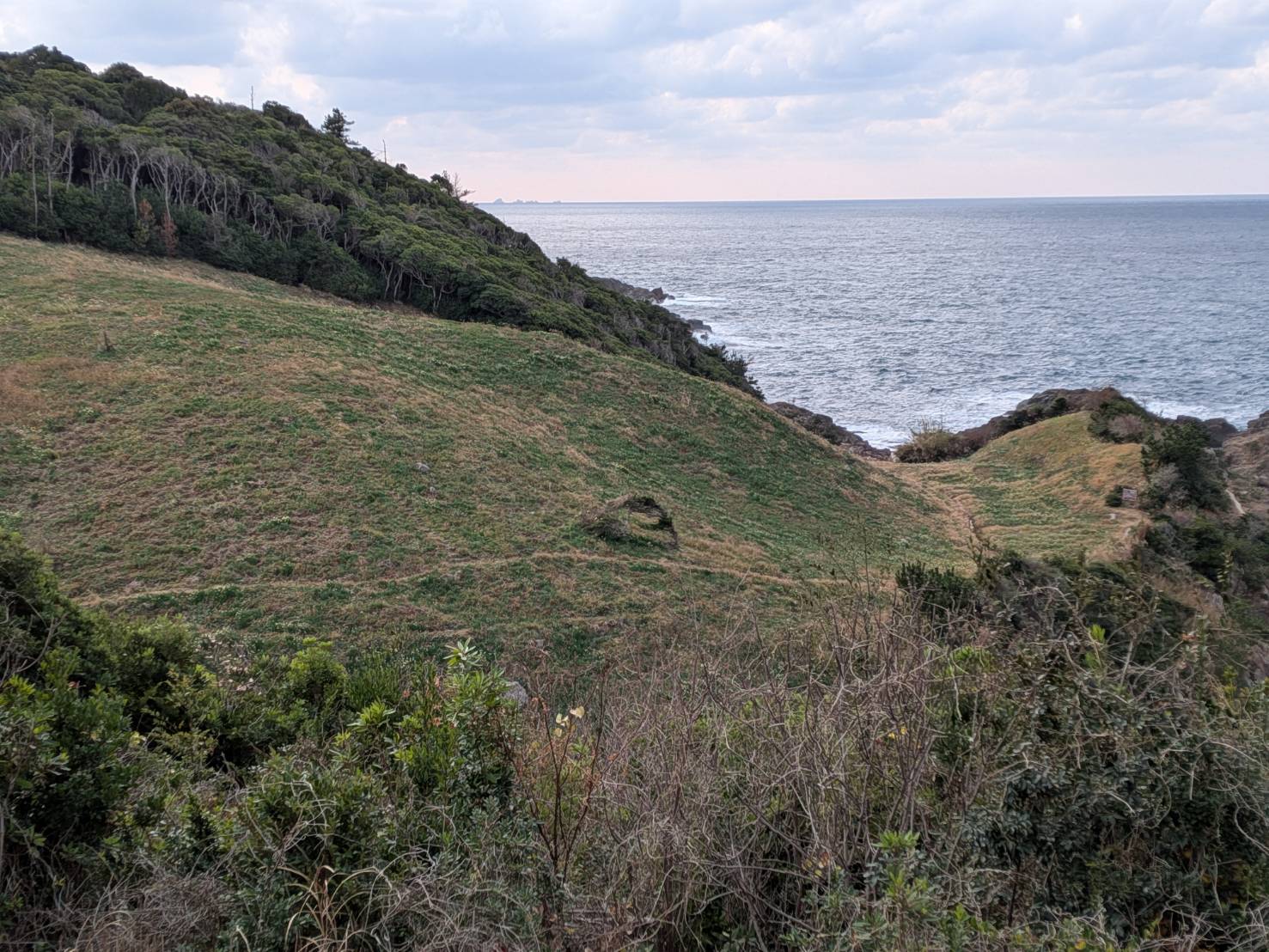 駐車場からの眺めです