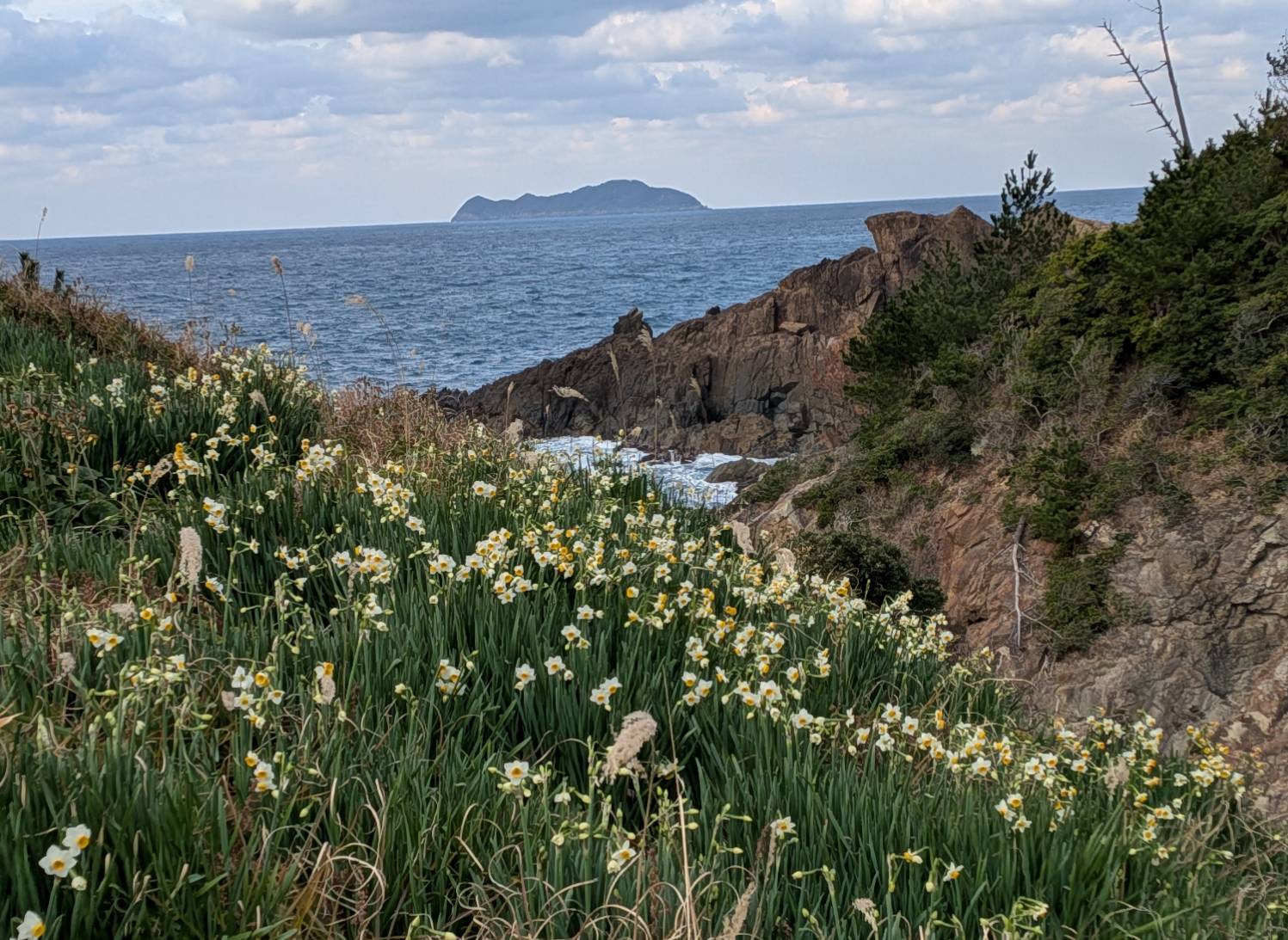 遊歩道から高島と一緒に