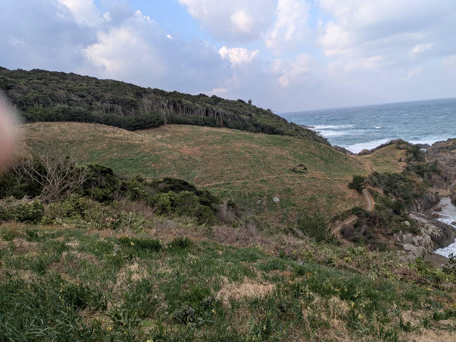 駐車場からの眺めです、白いところが減りました