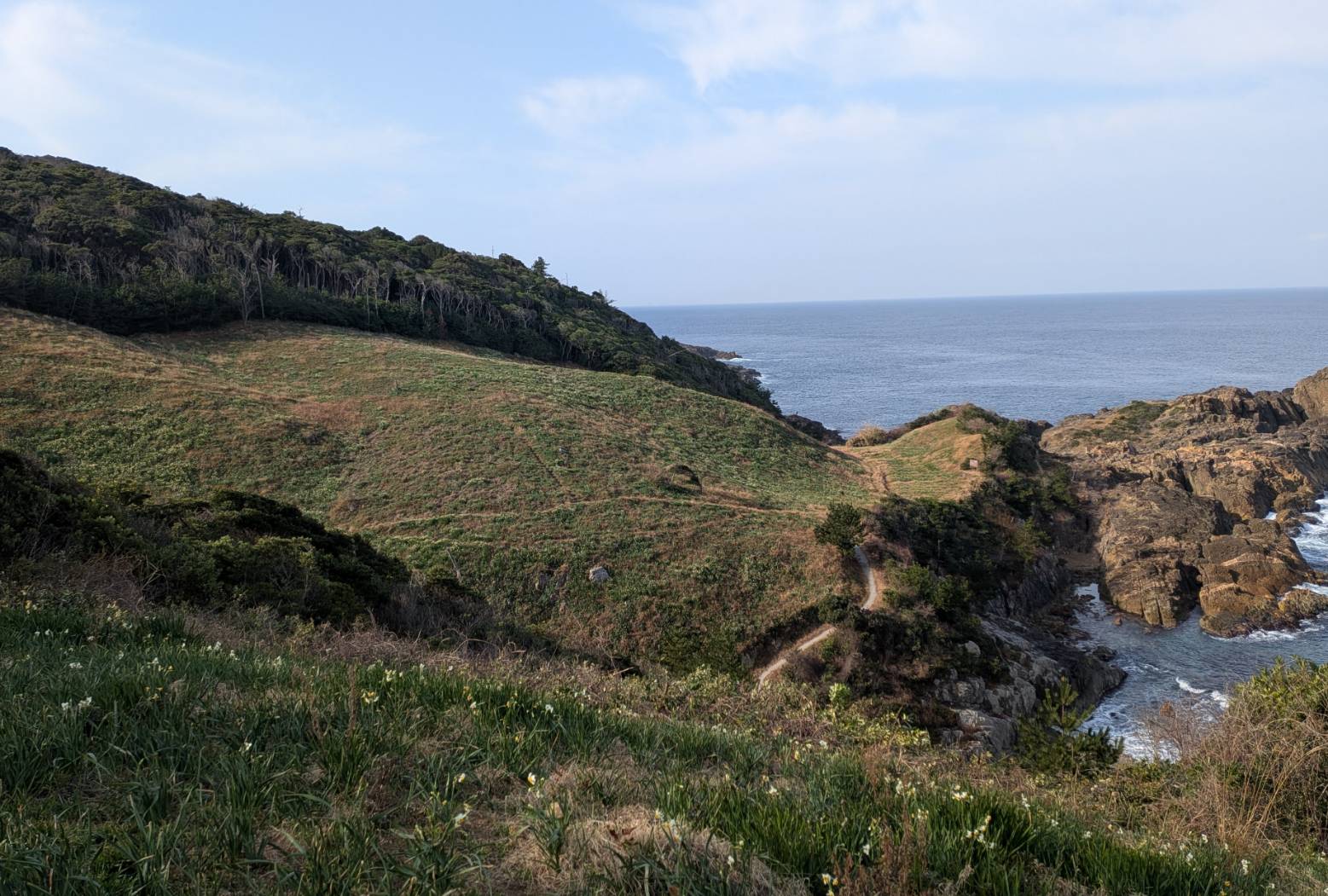 駐車場からはまだそこまで白く見えません