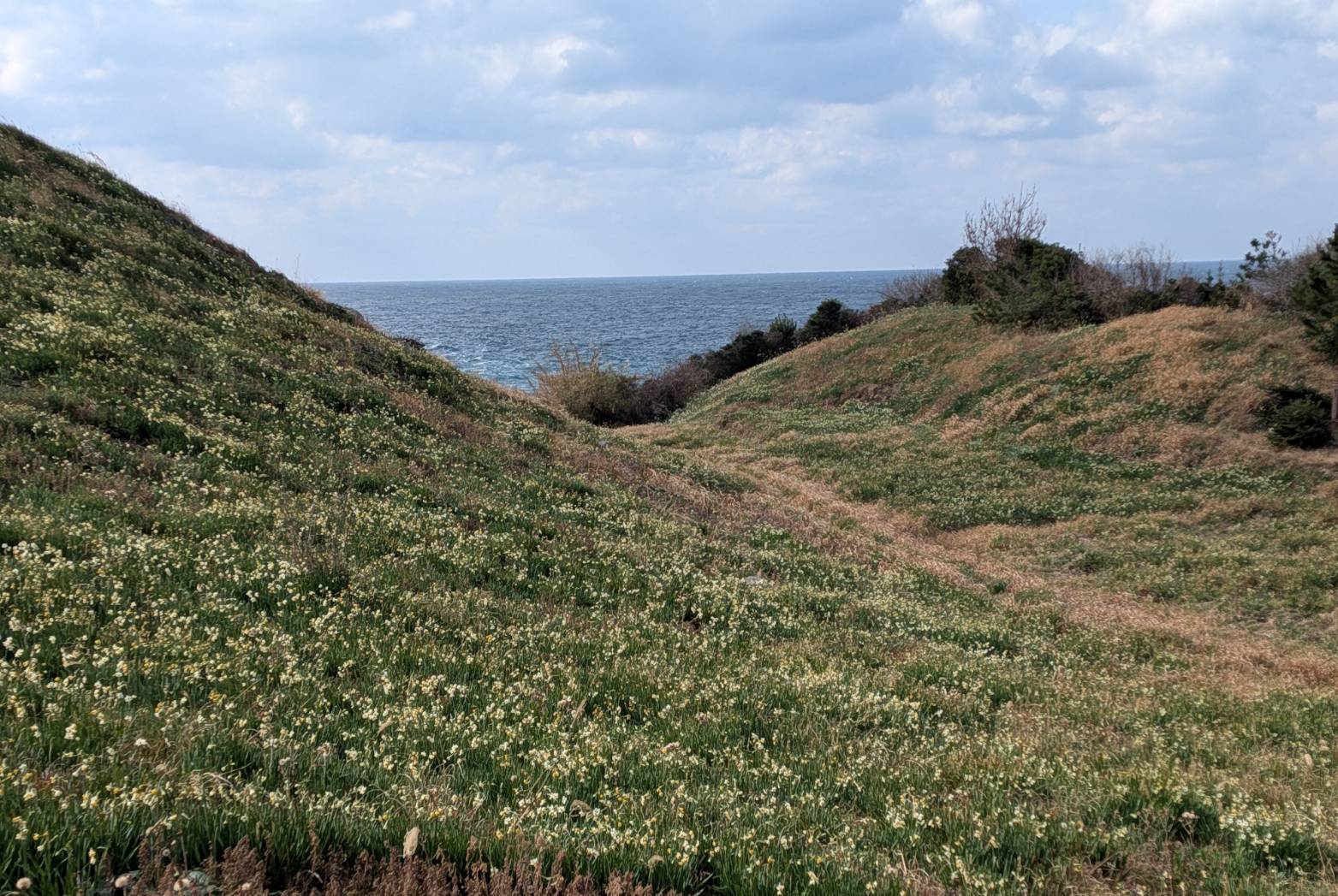海側の様子です