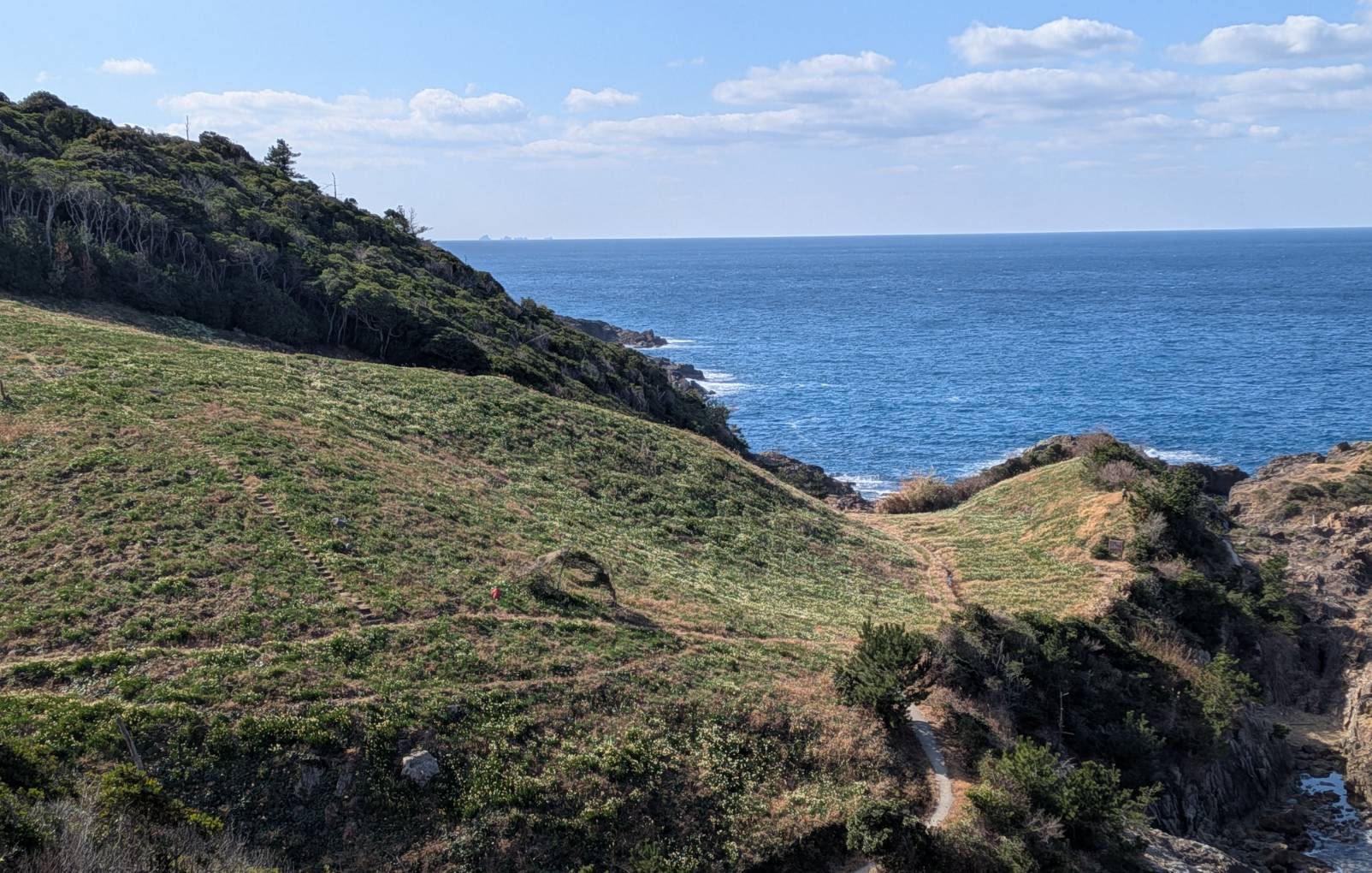 駐車場からの眺めです白い花が見えています
