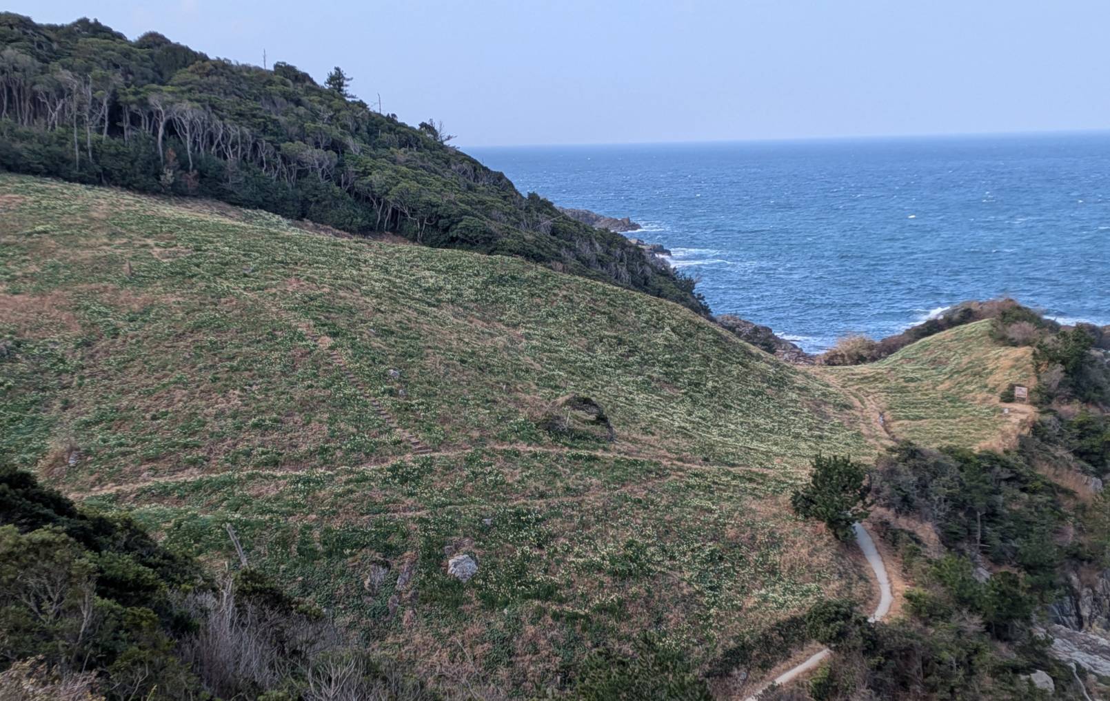 駐車場からの眺めです、全体がまだ白く見えます