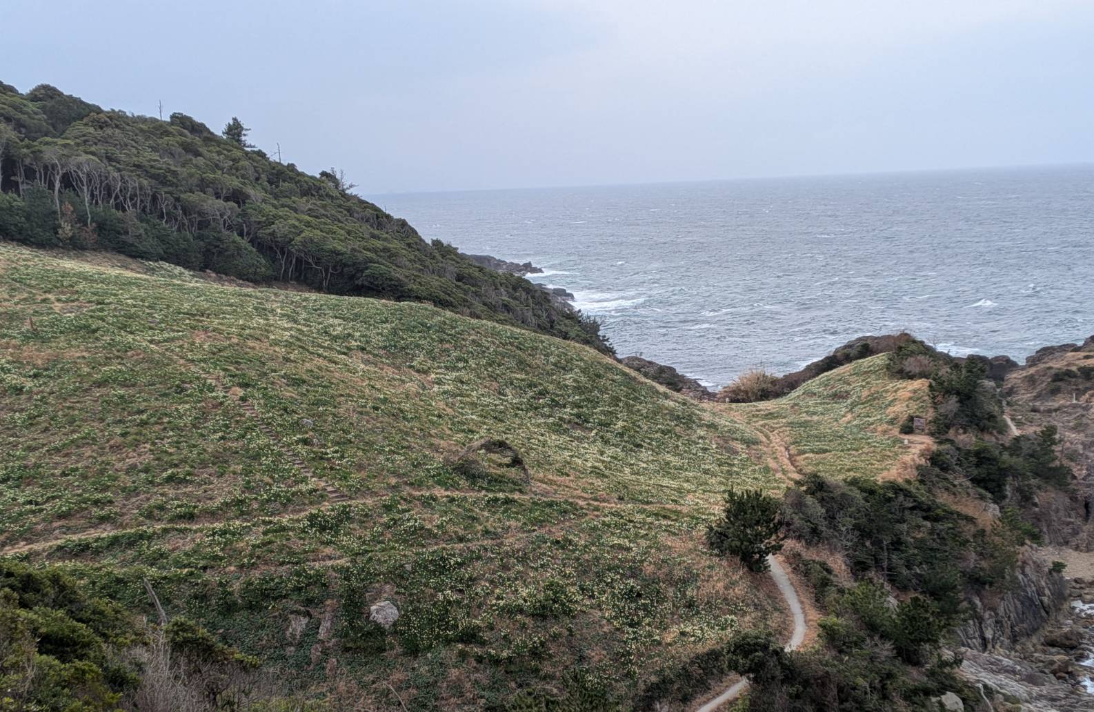 駐車場からの眺めです、まだまだ白い花が見えます。
