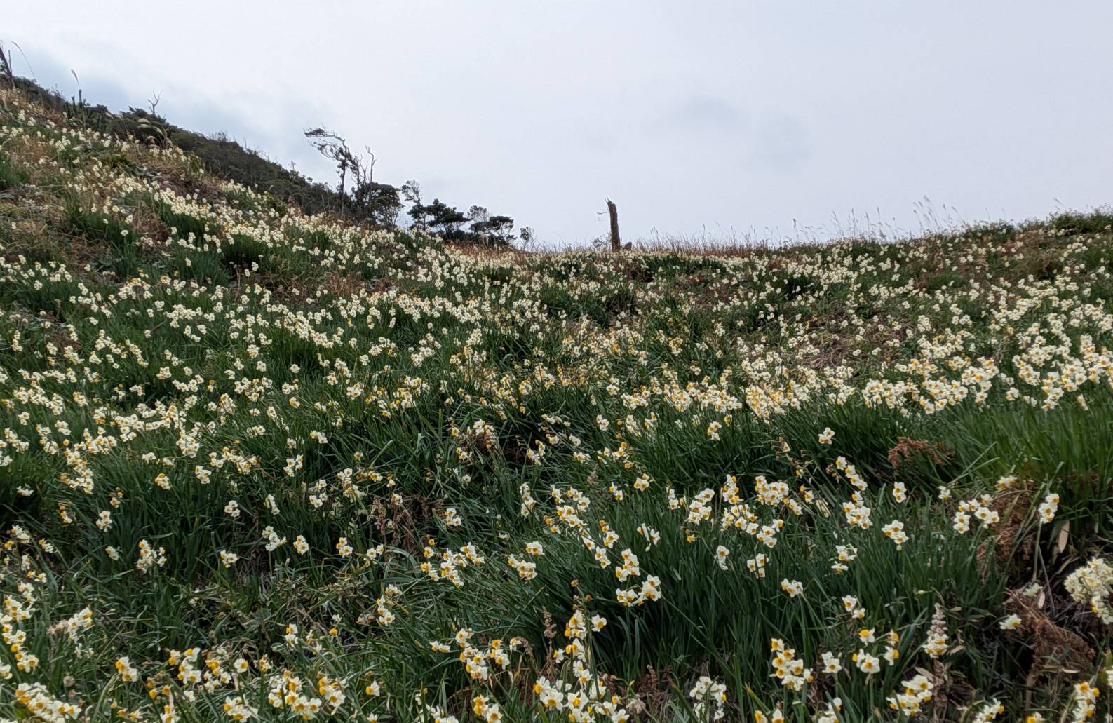 遊歩道からの眺めです