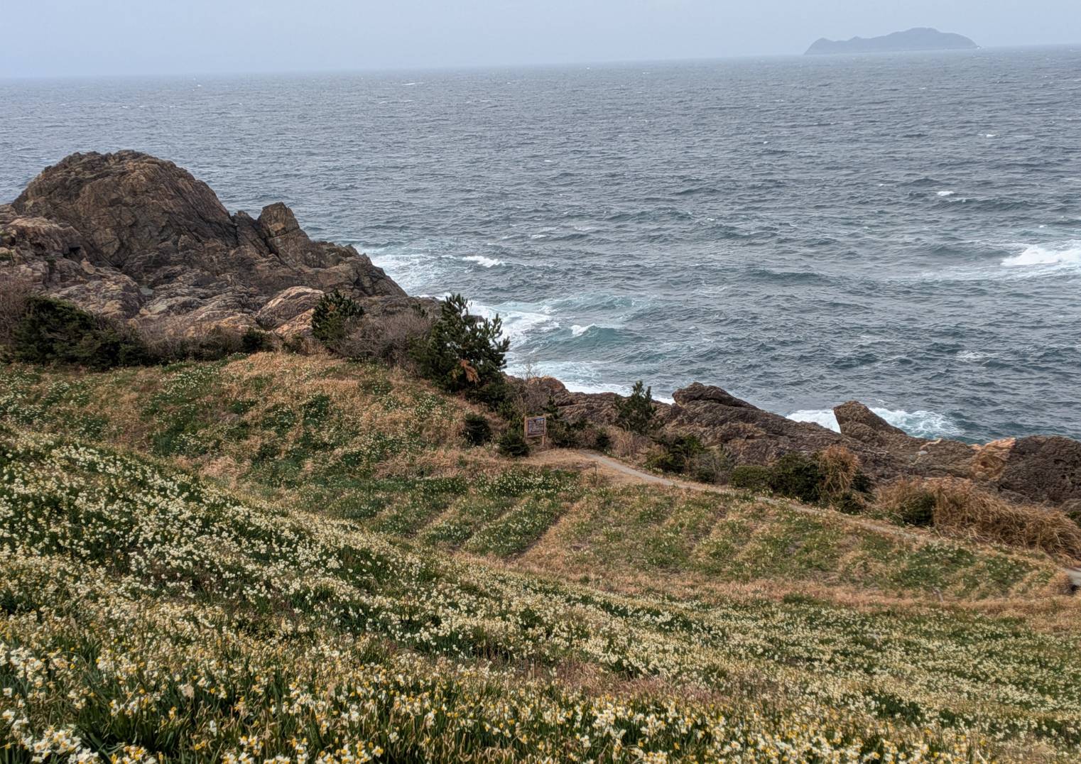 今日は高島は今一つハッキリと見ません