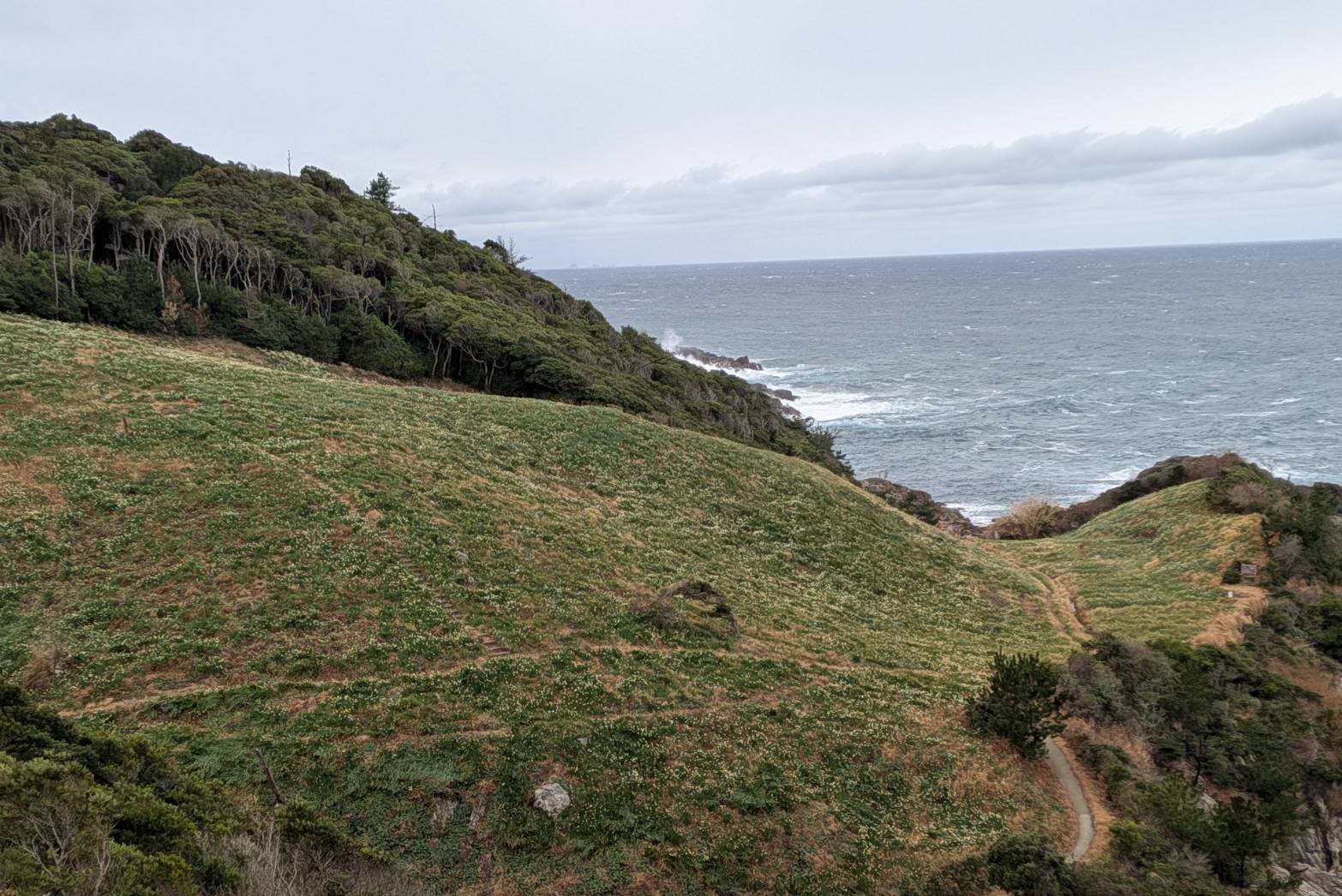 駐車場からの眺めです、まだ白く見えます。