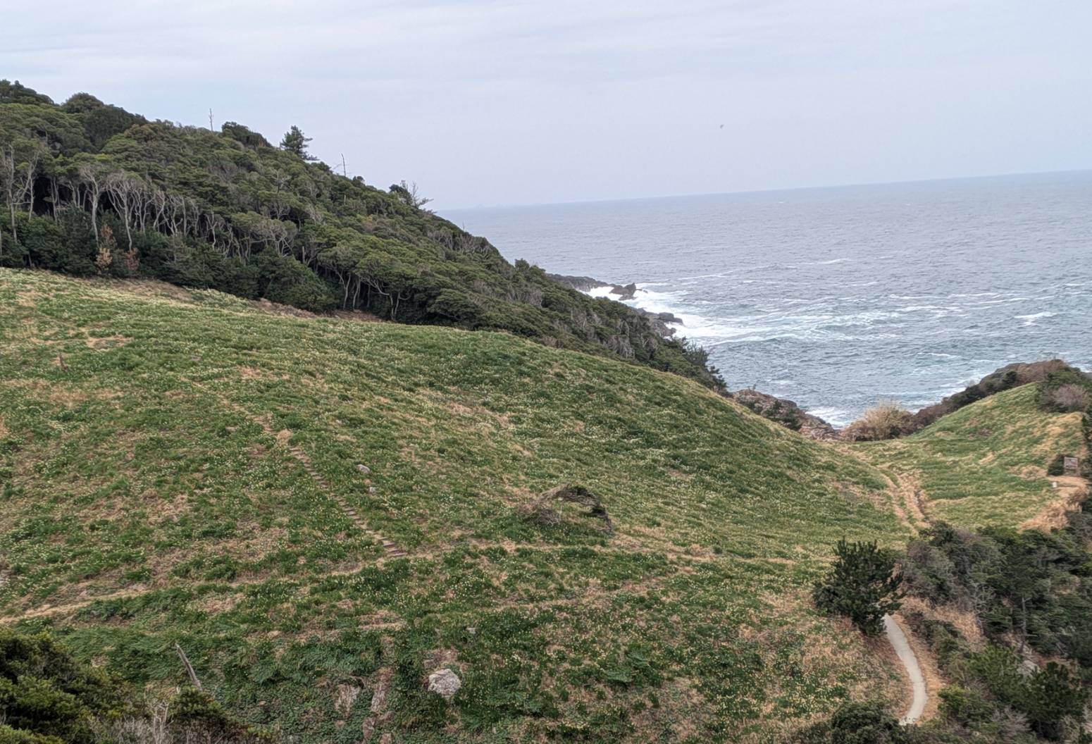 駐車場からの眺めです、白い部分が減ってきました