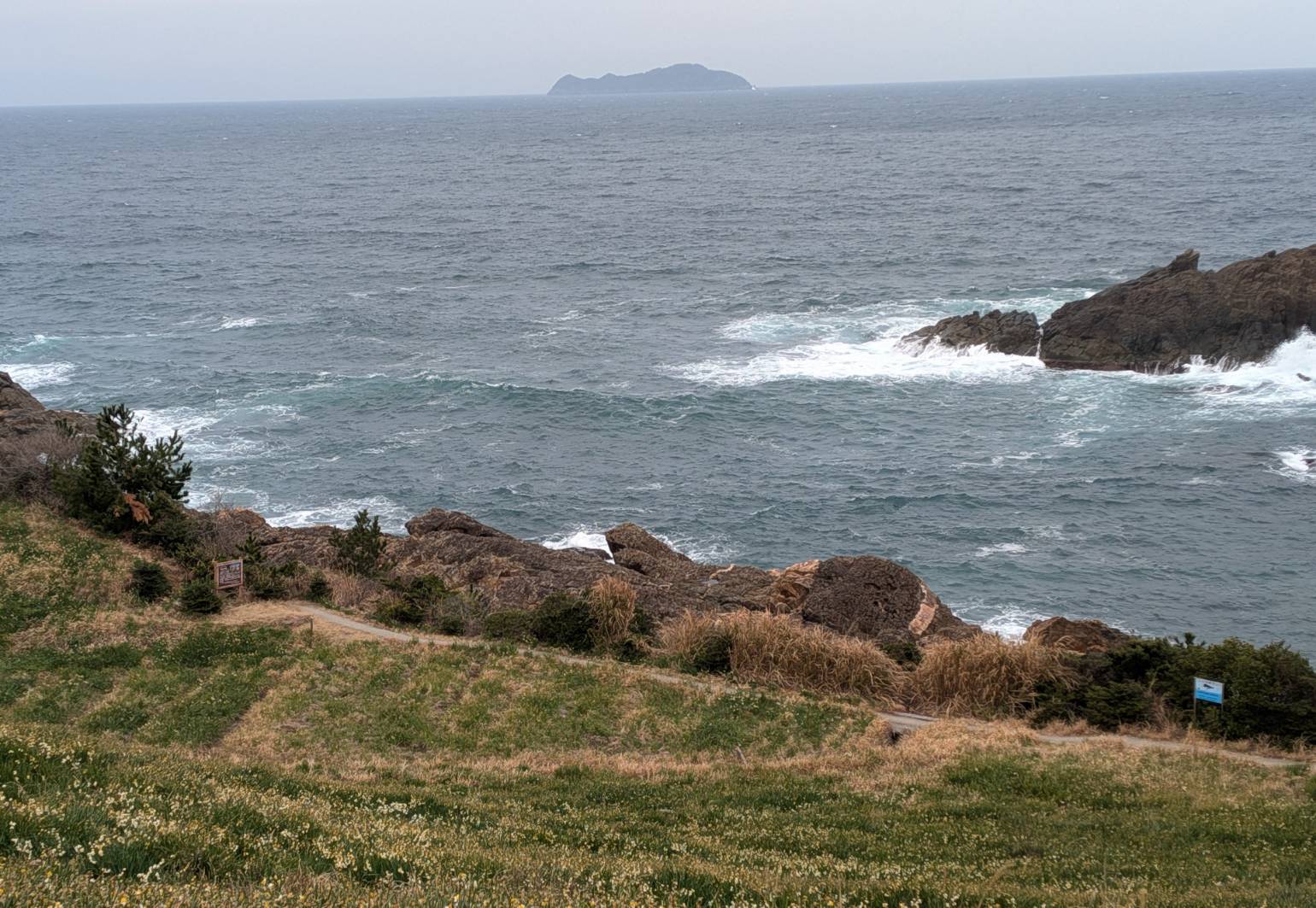 丘の上から日本海と高島の眺めですが花が減りました