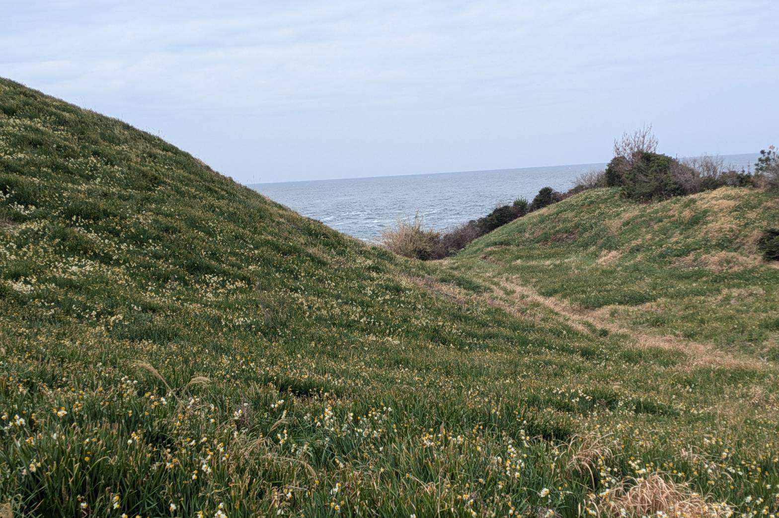 海側の斜面の様子です