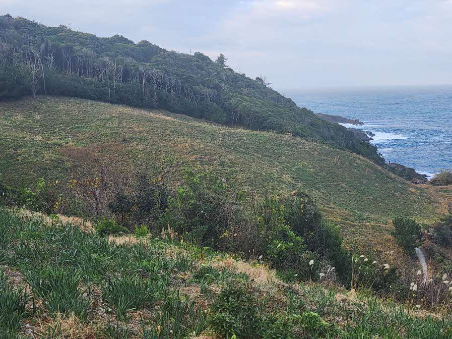 駐車場から全体の眺め