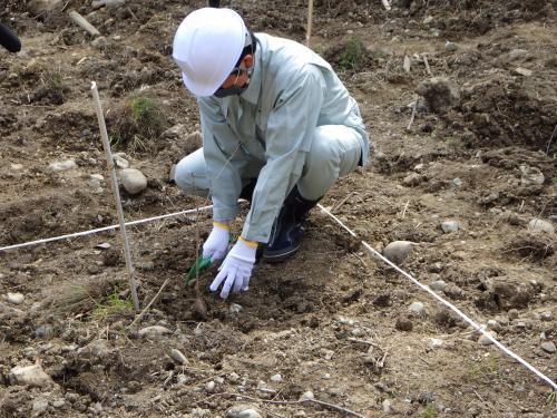 植樹イベントに参加する市長の写真